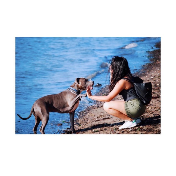 Meet your Posher, Amayrani - Picture 1 of 1